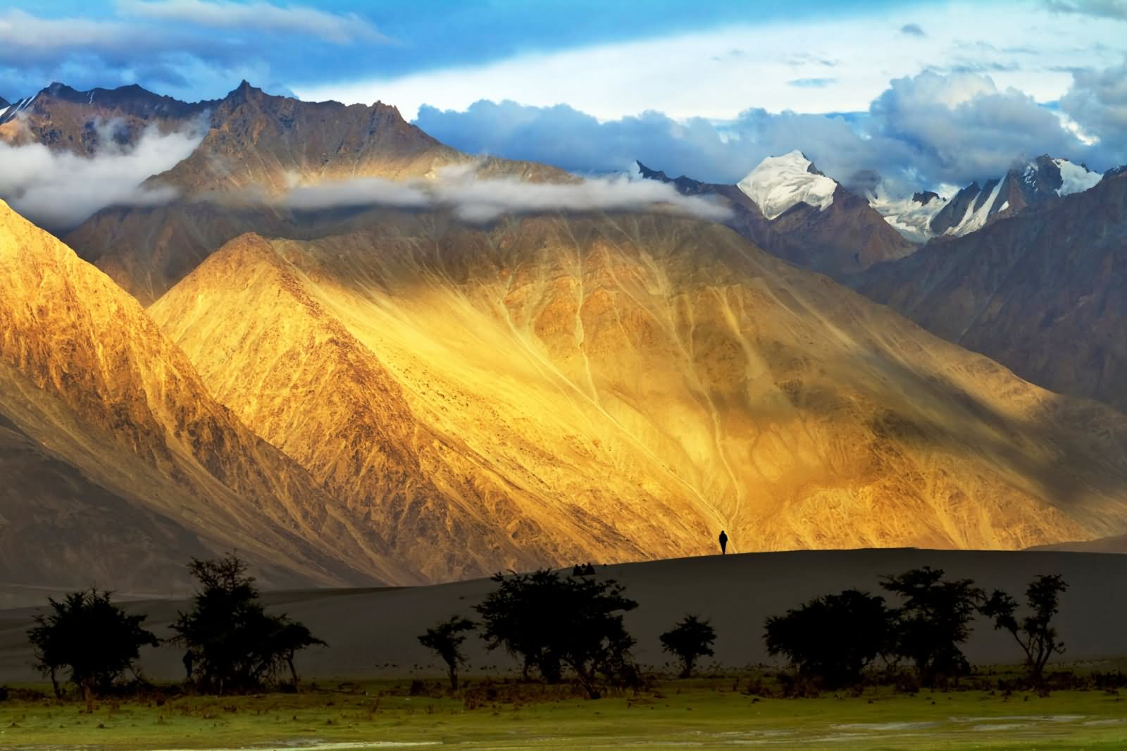 Amazing Morning View At The Nubra Valley In Leh Ladakh