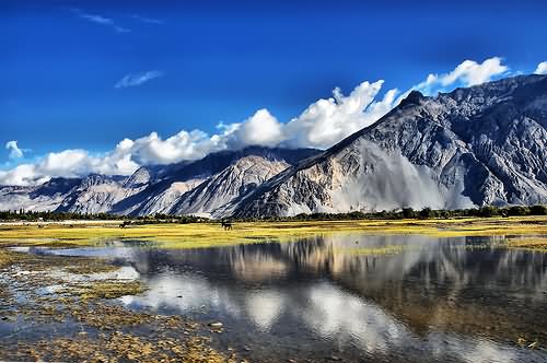 Amazing Picture Of Nubra Valley In Leh Ladakh