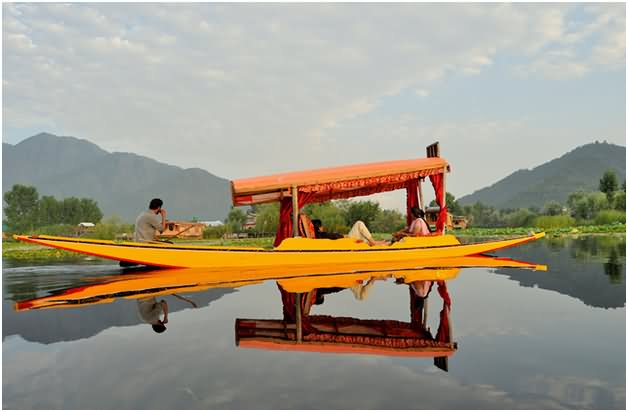 Beautiful Boat Inside The Dal Lake, Srinagar