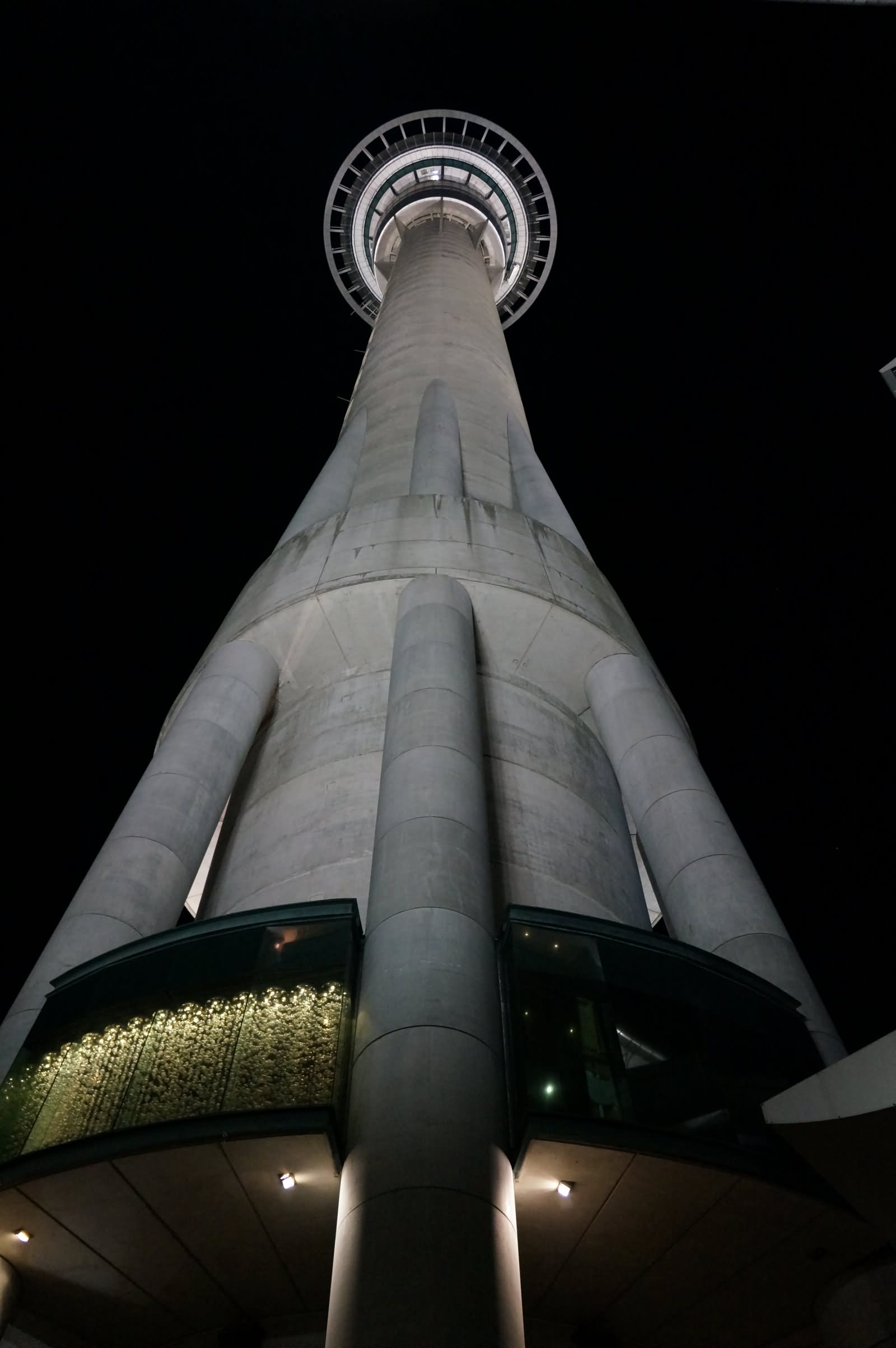 Beautiful Night View Of The Sky Tower From Bottom