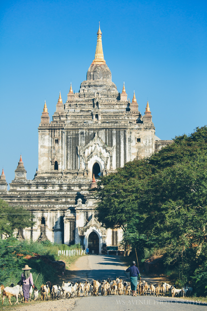 Beautiful View Image Of The Thatbyinnyu Temple, Bagan