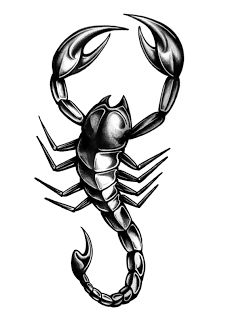 Black And Grey Scorpion Tattoo Design