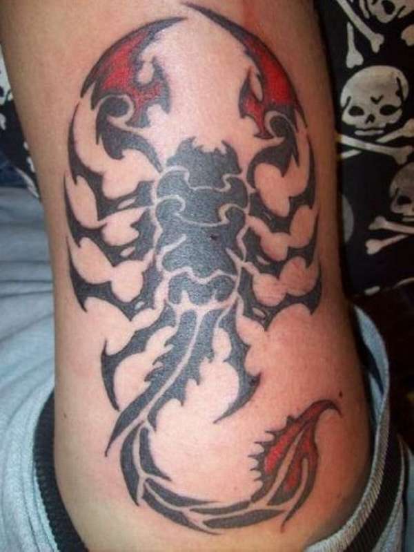 Black And Red Scorpion Tattoo On Man Side Rib