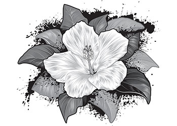 Black And White Hibiscus Tattoo Design