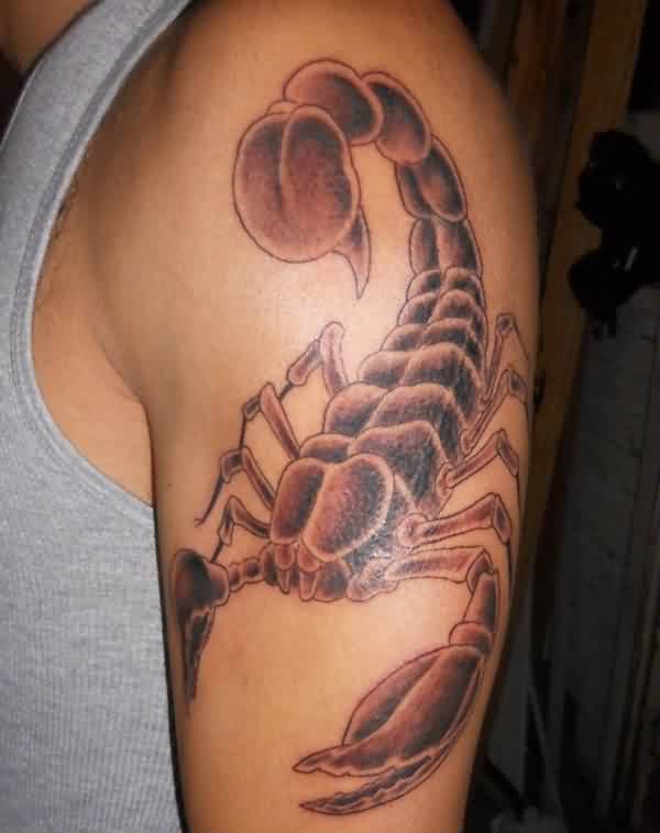 Black Ink Scorpion Tattoo On Upper Arm