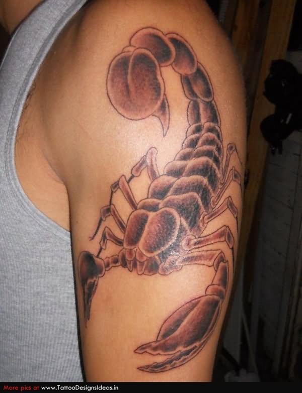 Black Scorpion Tattoo On Man Left Shoulder