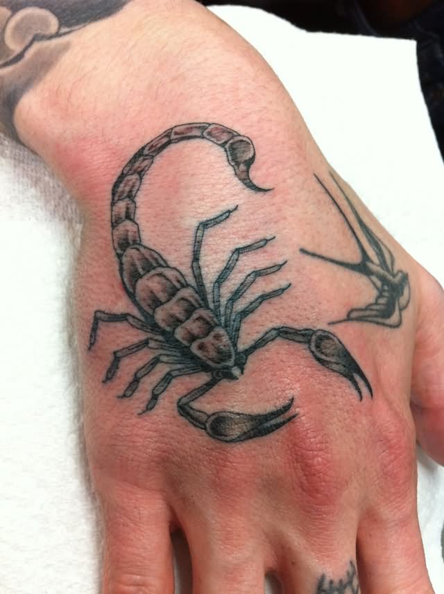 Black Scorpion With Flying Bird Tattoo On Hand