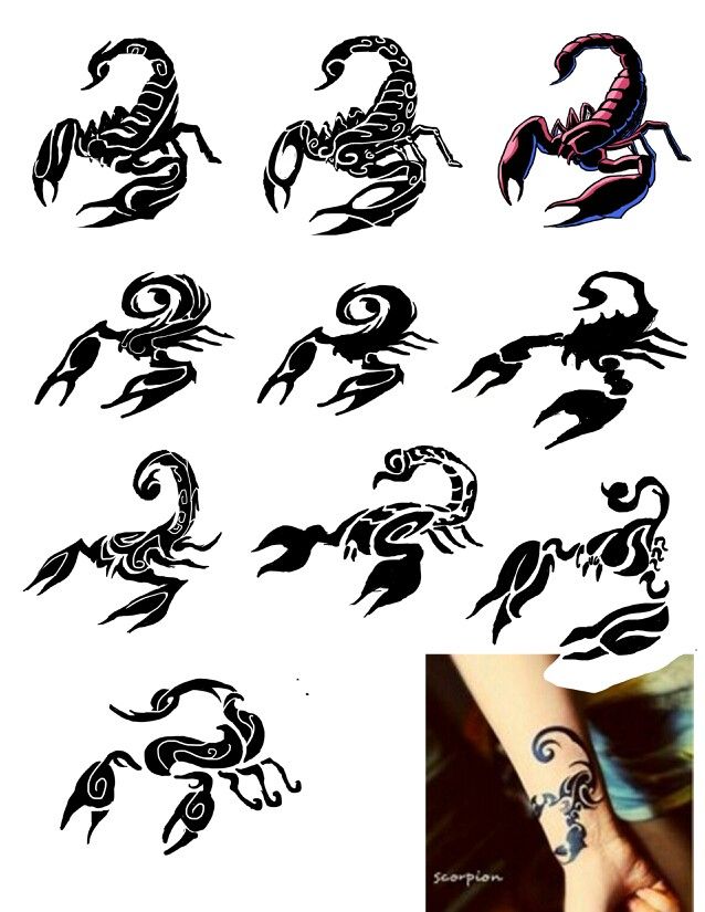 Black Tribal Scorpion Tattoo Flash