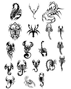 Black Tribal Scorpion Tattoo Flash