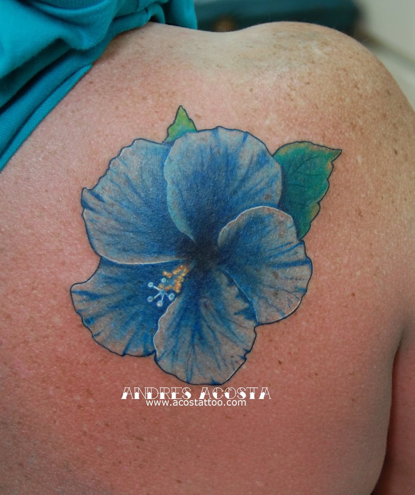 Blue Hibiscus Tattoo On Right Back Shoulder