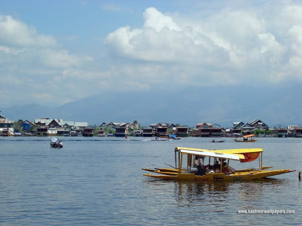 Boats At The Dal Lake