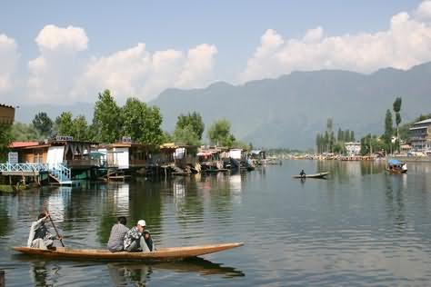 Boats In Dal Lake Picture