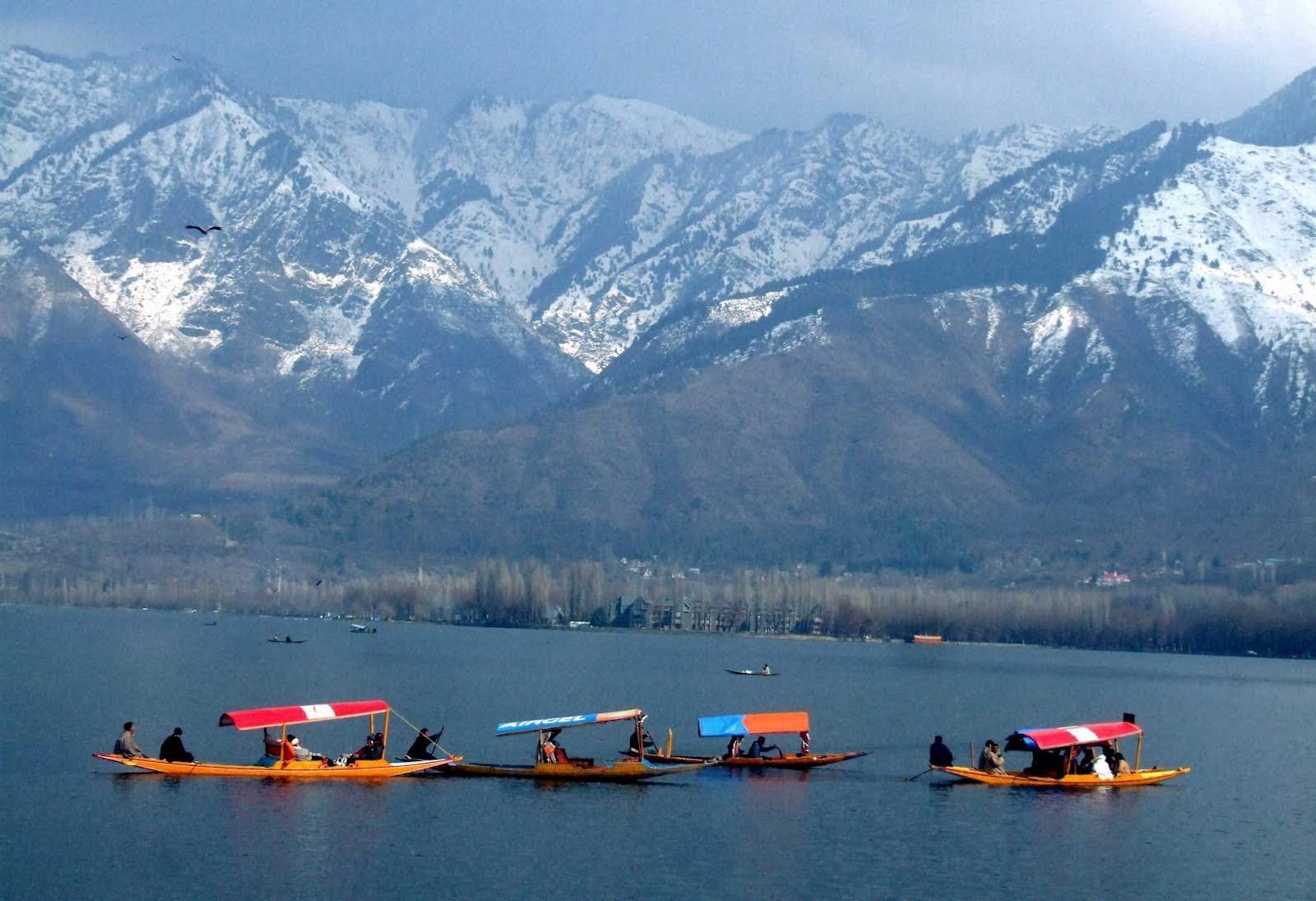 Boats Inside The Dal Lake, Srinagar