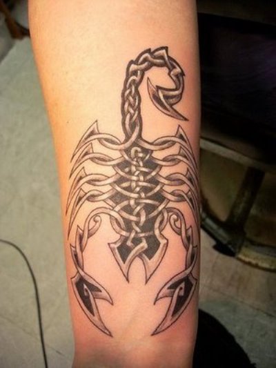 Celtic Scorpion Tattoo Design For Arm