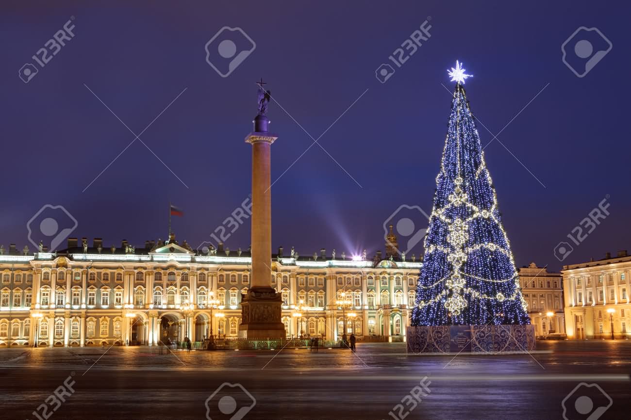 Christmas Tree On Palace Square Hermitage Museum At Night