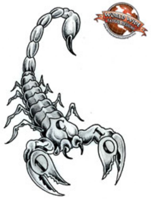 Classic Grey Ink Scorpion Tattoo Design