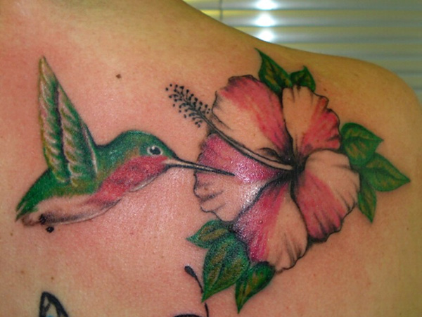 Colored Flying Hummingbird And Hibiscus Tattoo On Right Back Shoulder