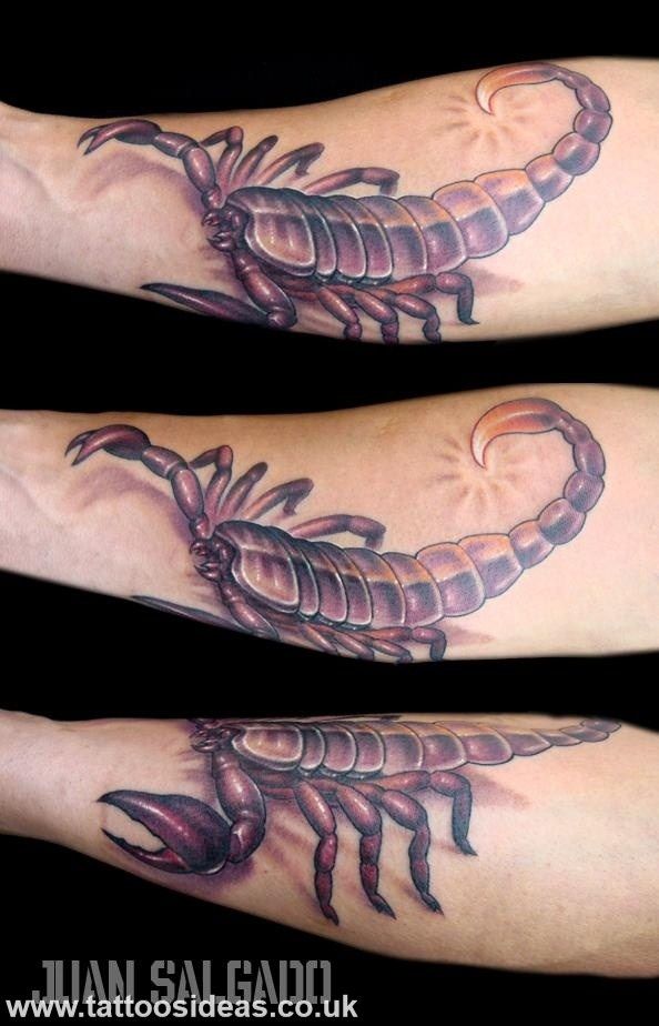 Cool Scorpion Tattoo Design For Forearm