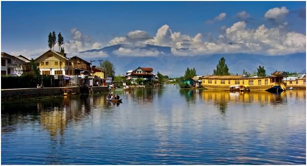 Dal Lake, Kashmir Picture