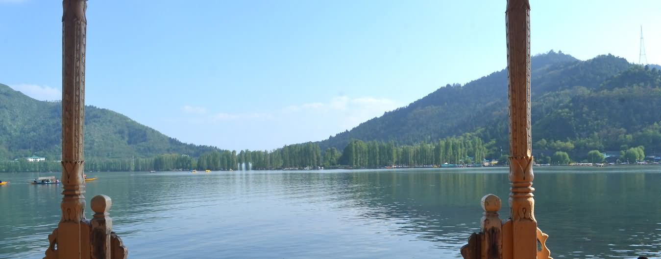 Dal Lake View From Shikara Picture