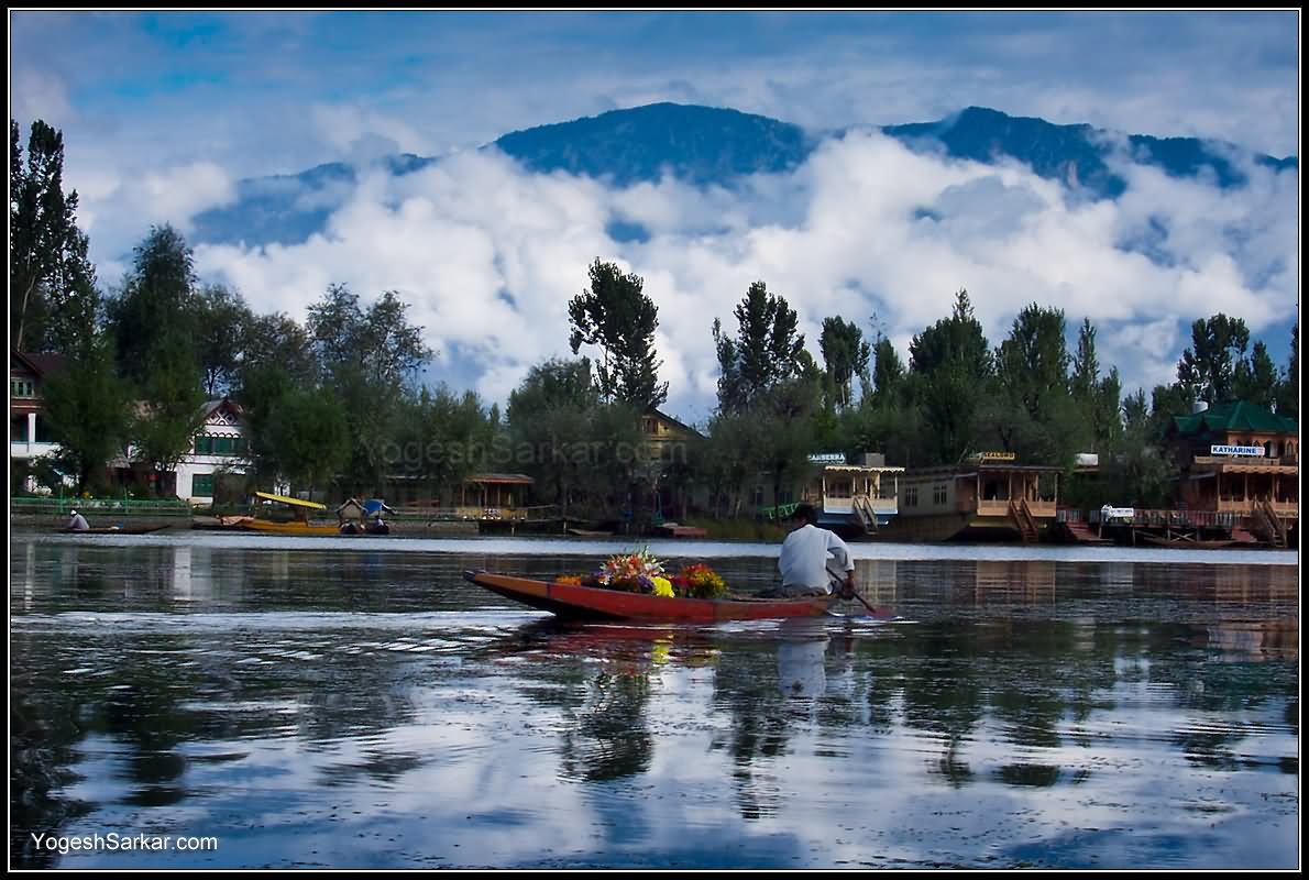 Flower Boat Dal Lake Kashmir