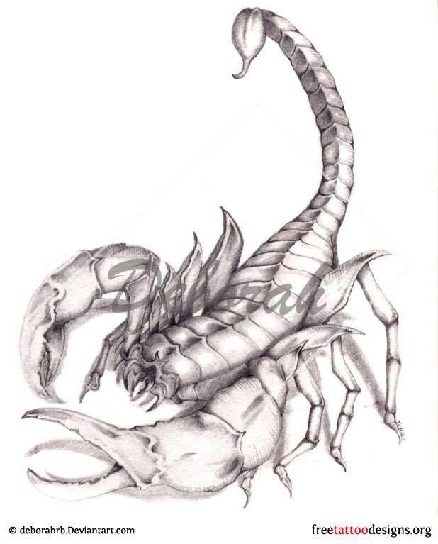 Grey Ink Scorpion Tattoo Design