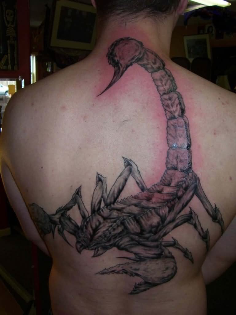 Grey Ink Scorpion Tattoo On Man Full Back