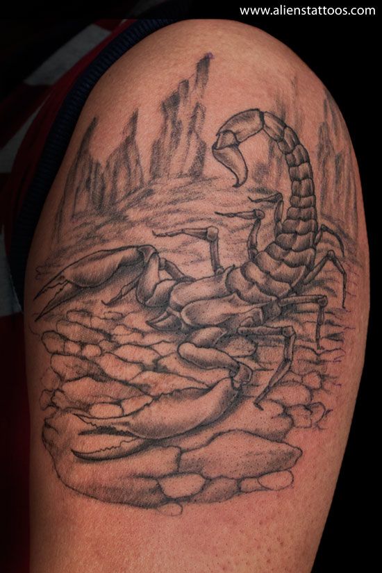 Grey Ink Scorpion Tattoo On Upper Arm