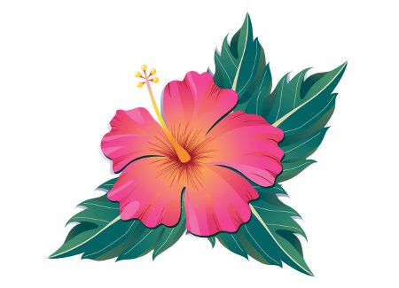 Hibiscus Flower Tattoo Design Sample
