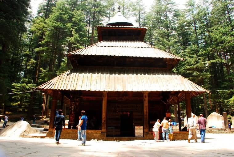 Hidimba Devi Temple Surrounded With Pine Trees