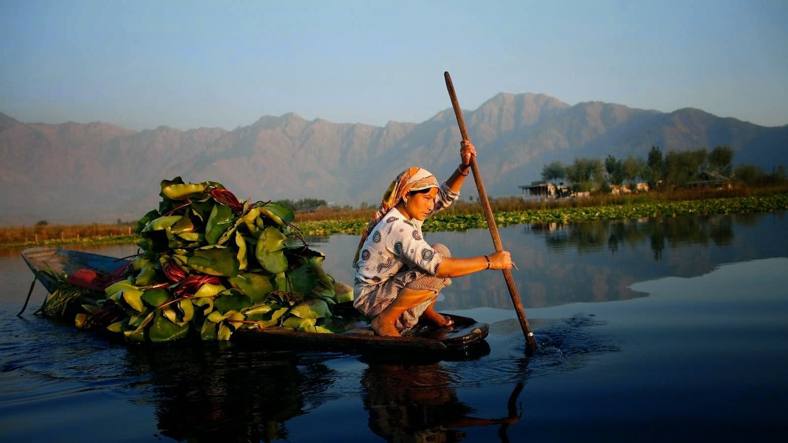 Kashmiri Woman Riding Boat In Dal Lake