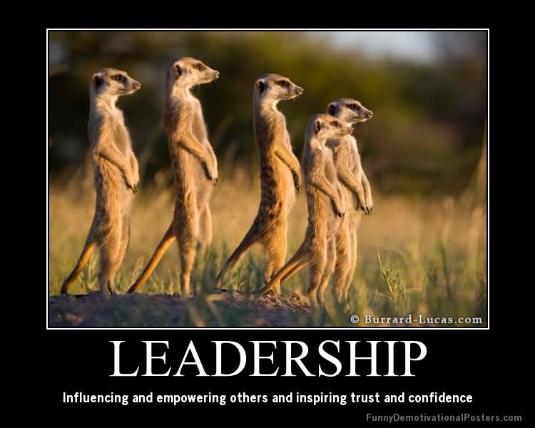 Leadership influencing and empowering others and inspiring trust and confidence