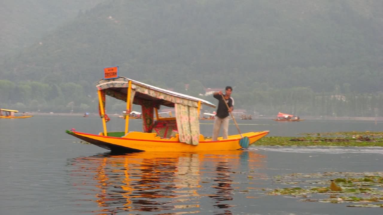 Man Boating In Dal Lake, Srinagar, Kashmir