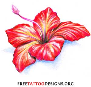 Nice Color Hibiscus Flower Tattoo Design
