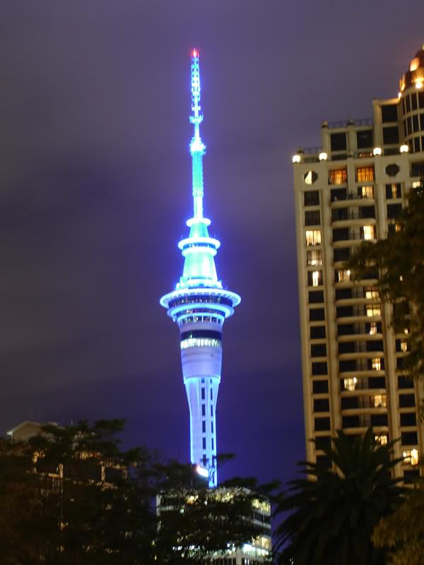 Night View Of The Sky Tower