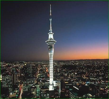 Night View Of The Sky Tower In Auckland