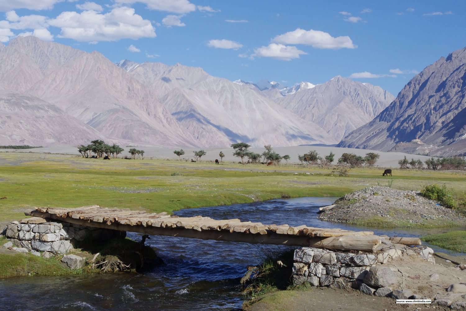 Nubra Valley Beautiful Picture