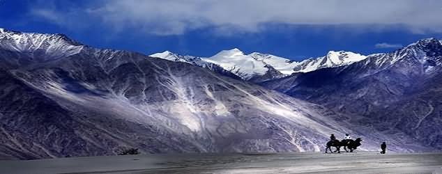 Panorama View Of Nubra Valley, Leh Ladakh