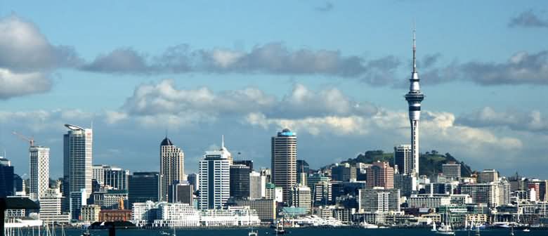 Panorama View Of The Sky Tower, Auckland