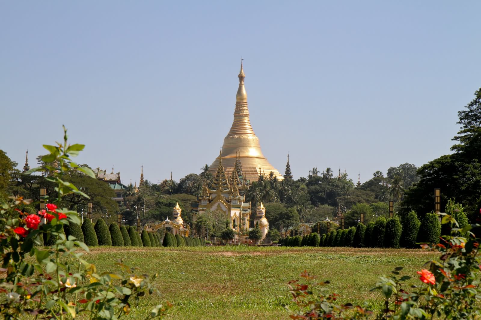 Picture Of Shwedagon Pagoda From Garden