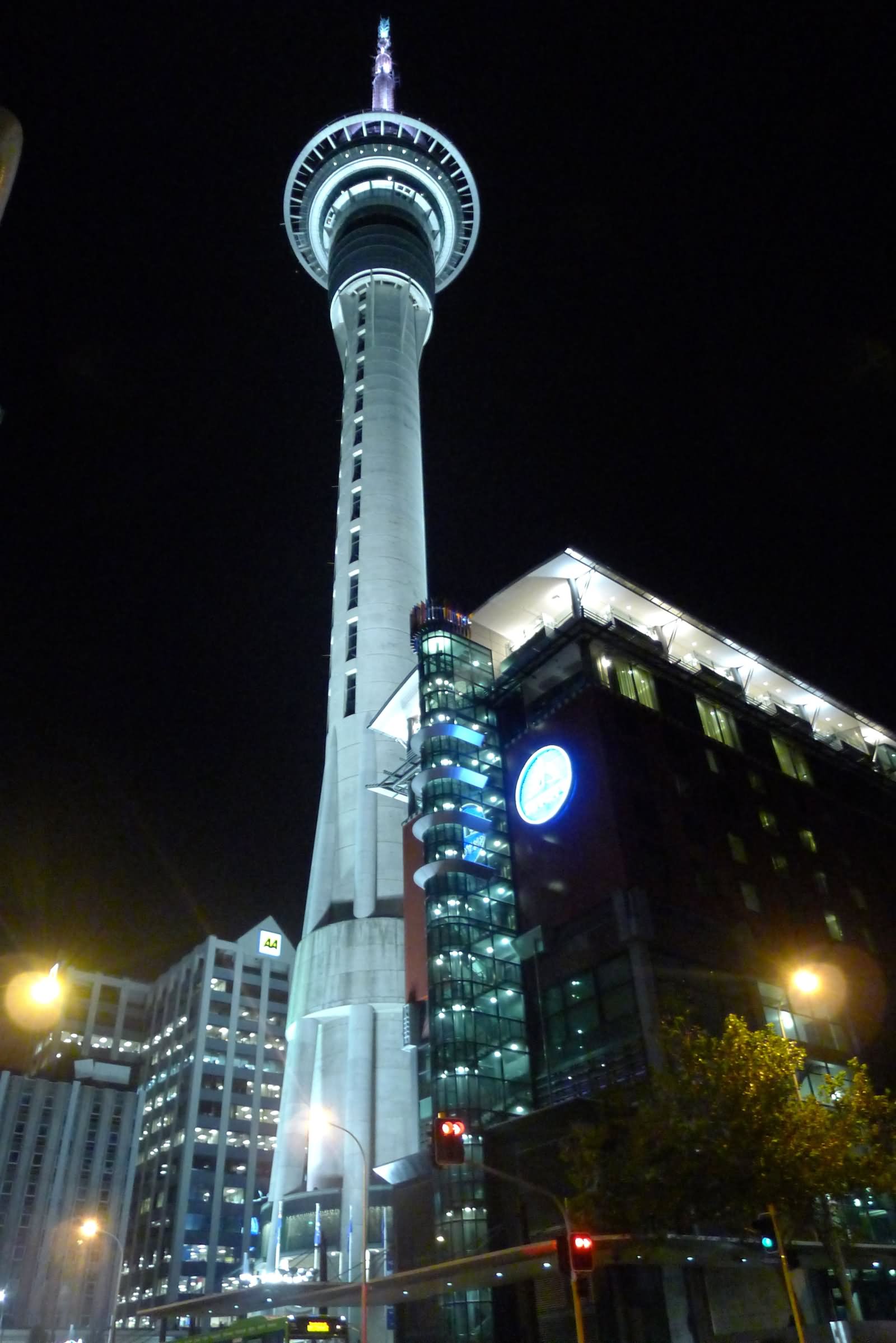 Picture Of The Sky Tower In Auckland At Night