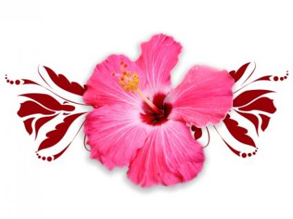 Pink Hibiscus Flower Tattoo Design