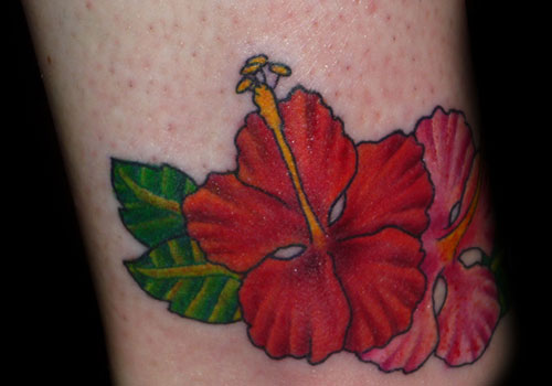 Red And Pink Hibiscus Tattoo Design