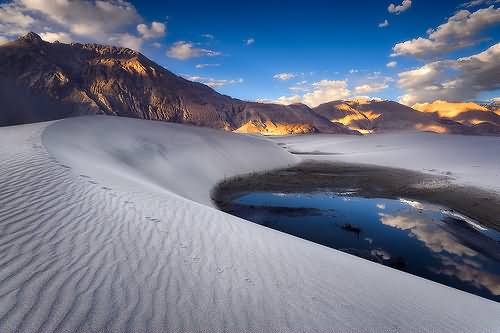 Sand Dunes At Nubra Valley Sunset View Picture