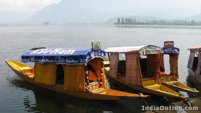 Shikara Boats At The Dal Lake, Kashmir