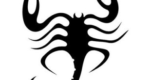 Silhouette Scorpion Tattoo Design