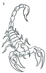 Simple Black Outline Scorpion Tattoo Stencil