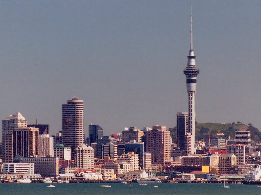 Sky Tower And Auckland Skyline Picture