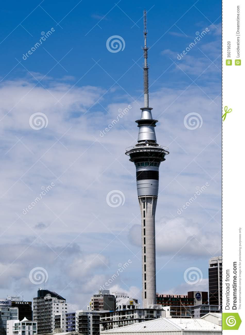 Sky Tower Day Time View Picture