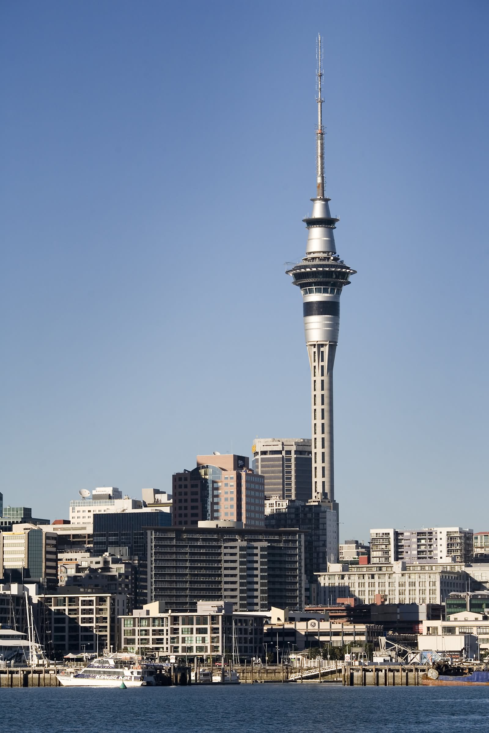 Sky Tower In Auckland Picture
